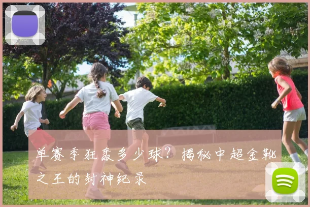 单赛季狂轰多少球?揭秘中超金靴之王的封神纪录