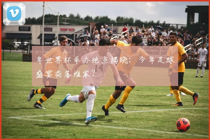 年世界杯举办地点揭晓:今年足球盛宴花落谁家?